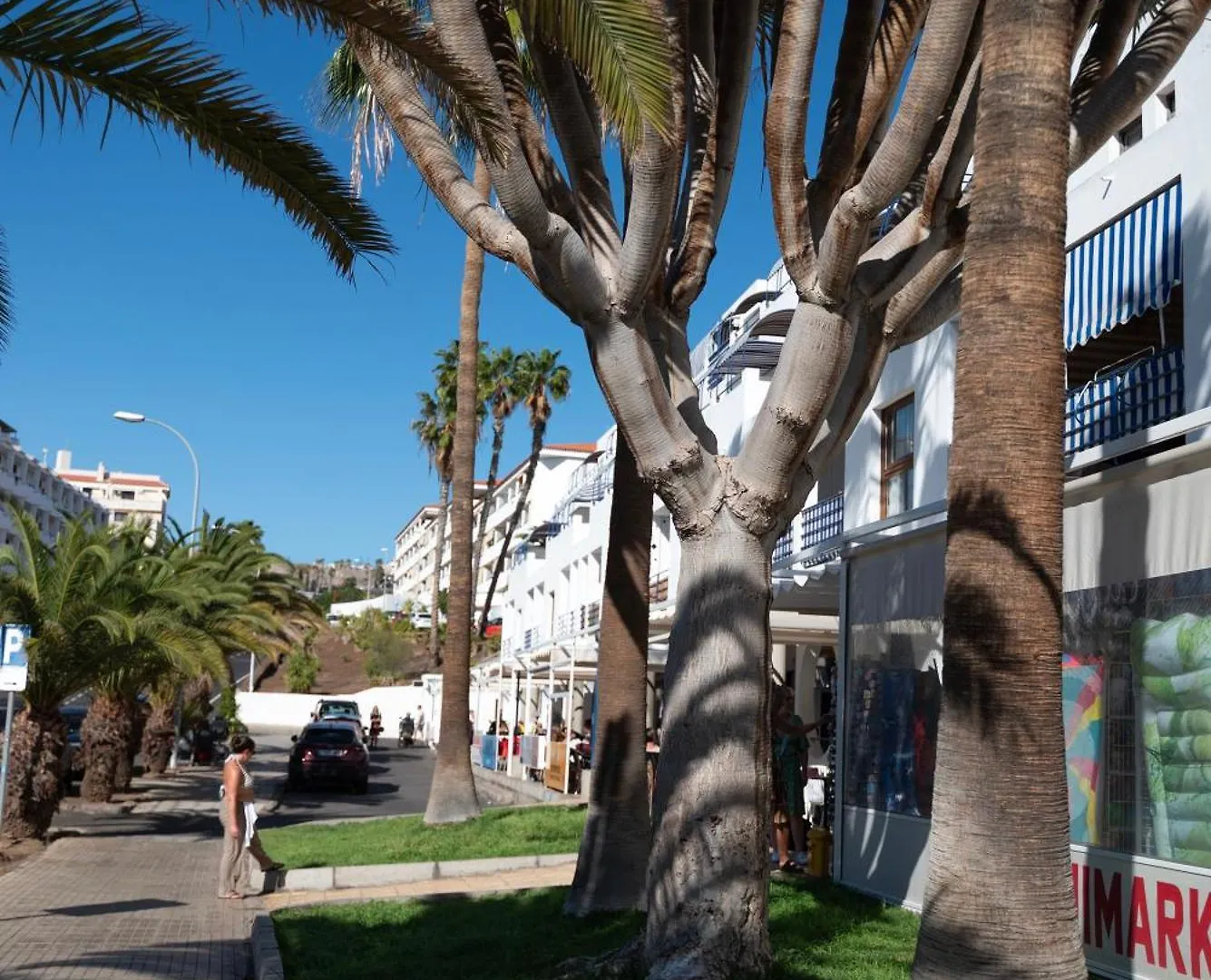 Los Cristianos Pool & Sun Apartment